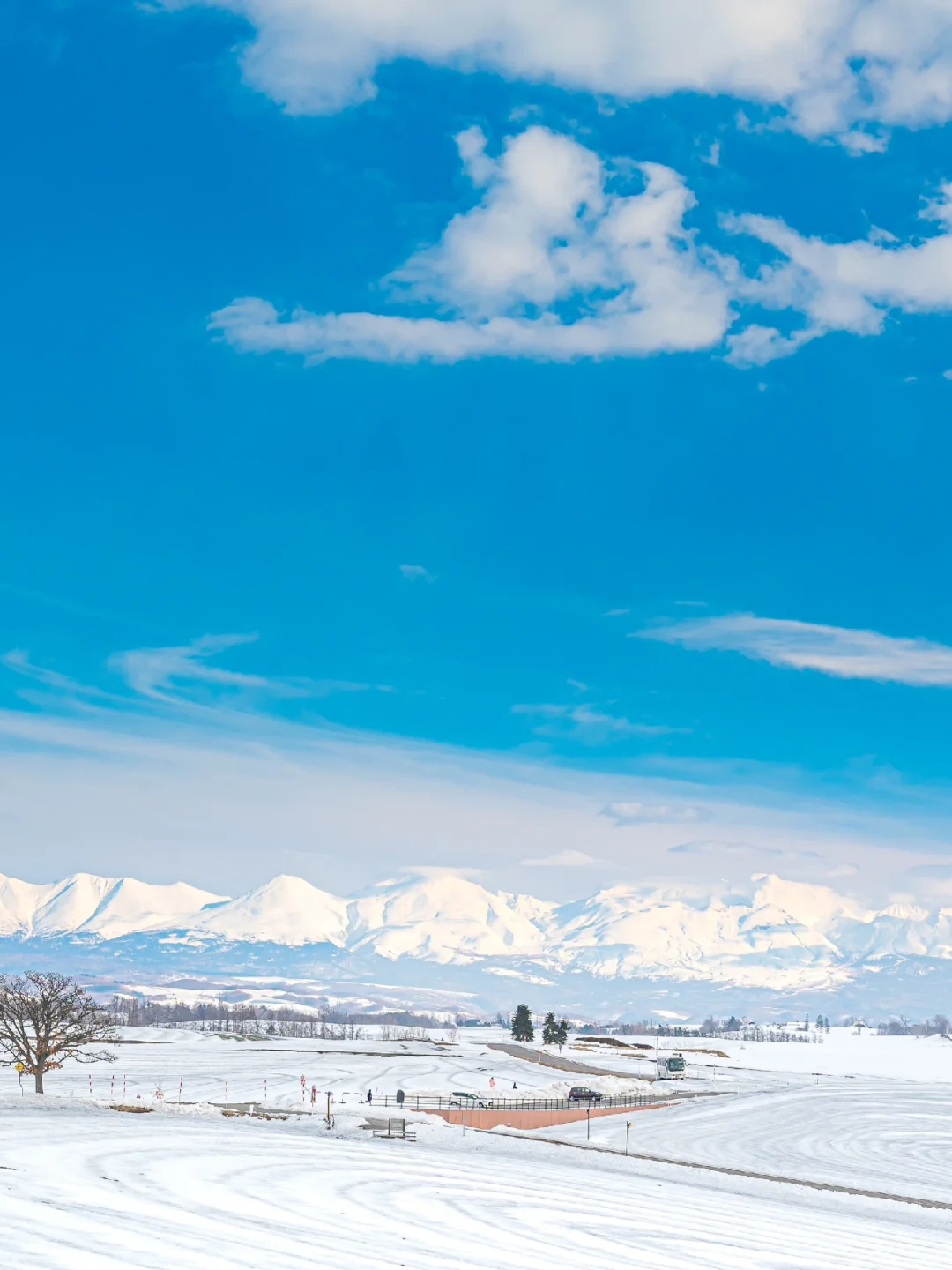 日本北海道 | 四季都有绝景！神仙景点美瑛町