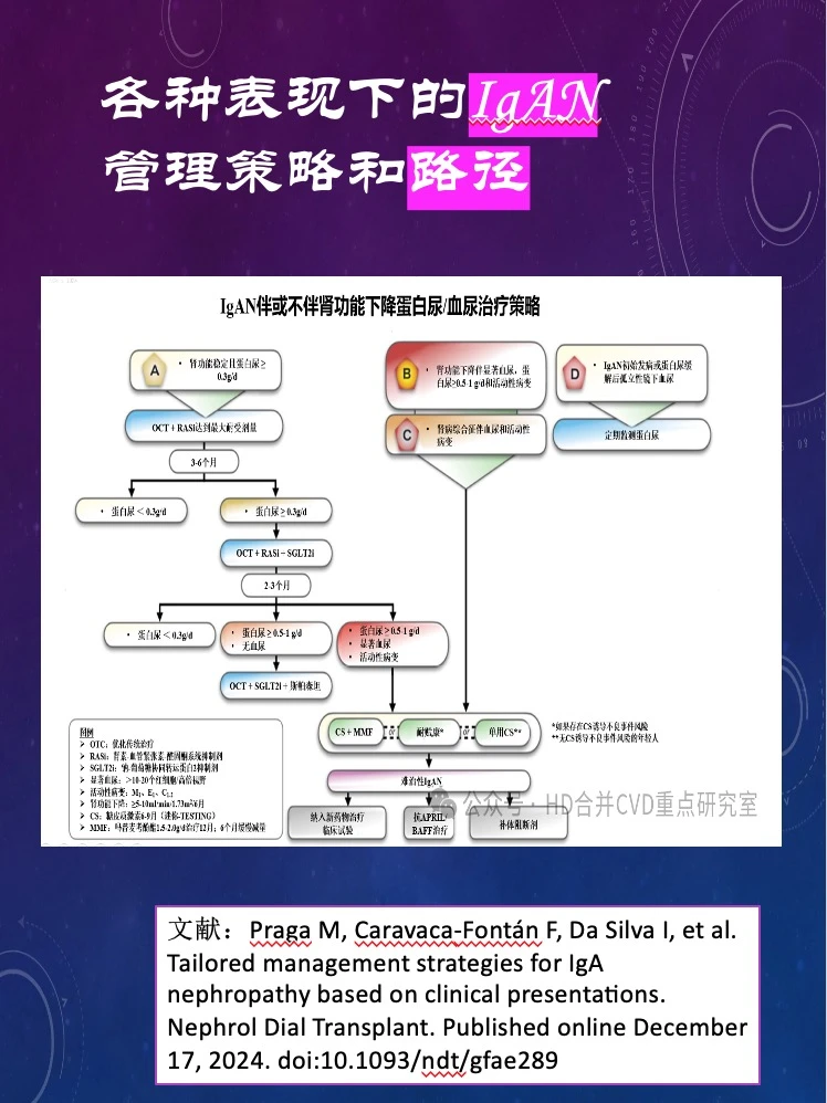 对号入座❗️看看你的IgAN治对了吗？