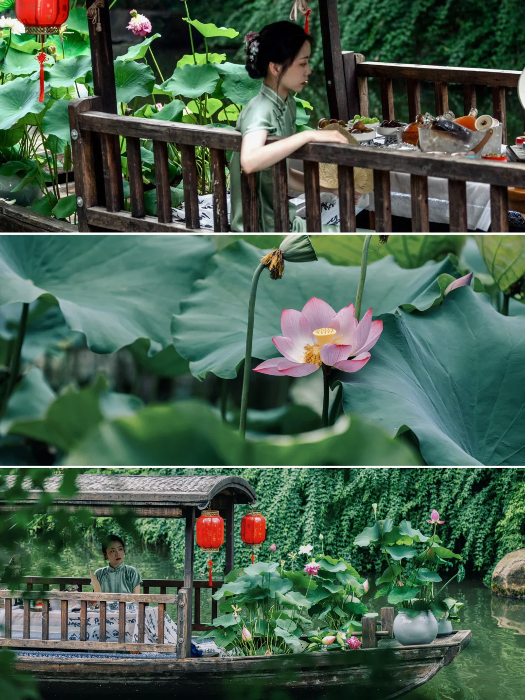 “夏天总要去西溪湿地坐一次摇橹船吧～”