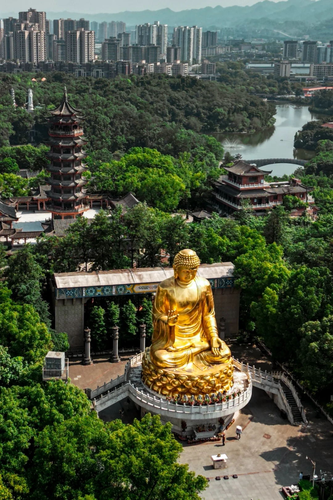 主城那里的荷花盛开了？大家推荐一下🌈❤️