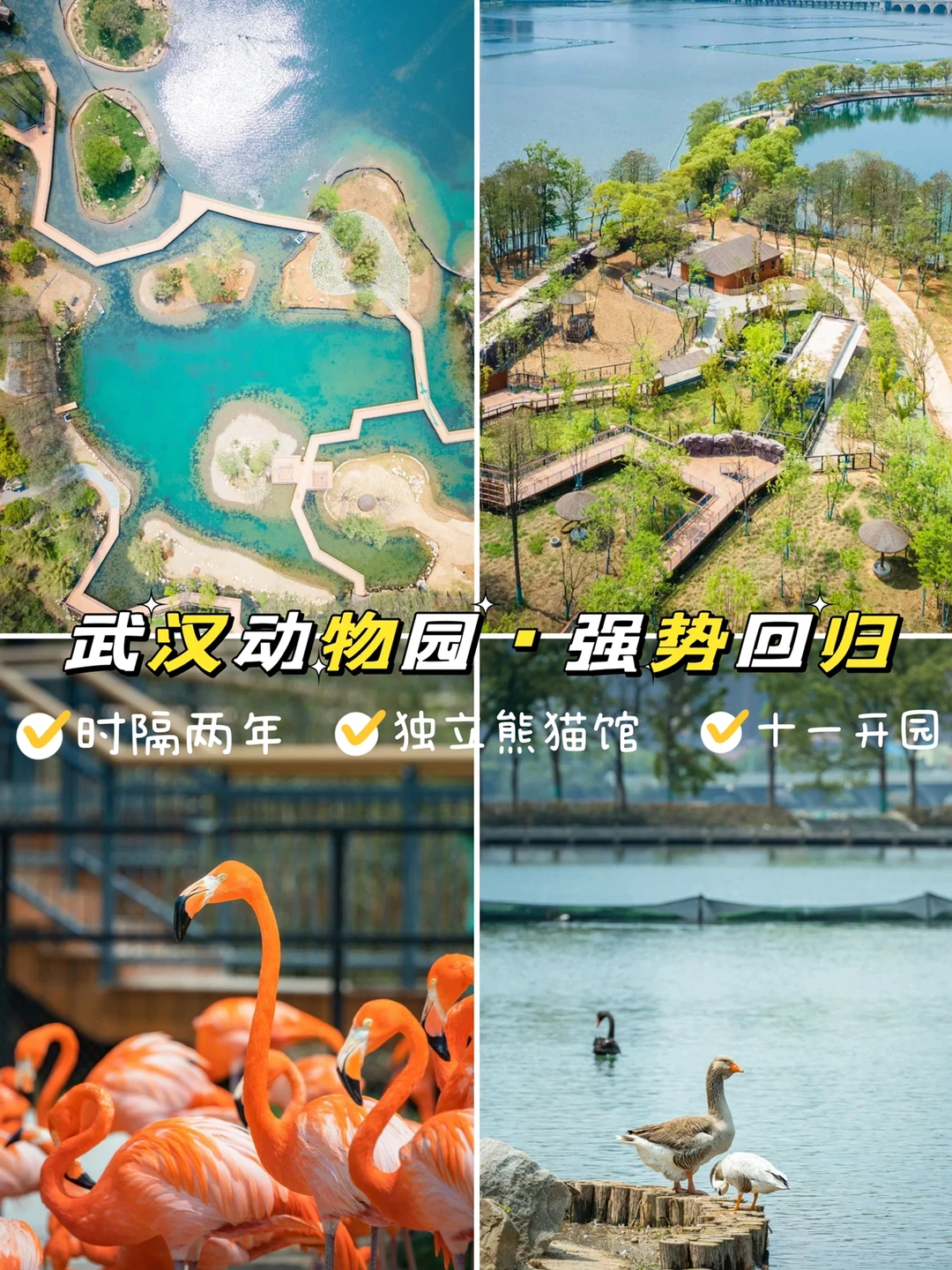 时隔两年 | 武汉动物园十一开园，冲不冲❗❓