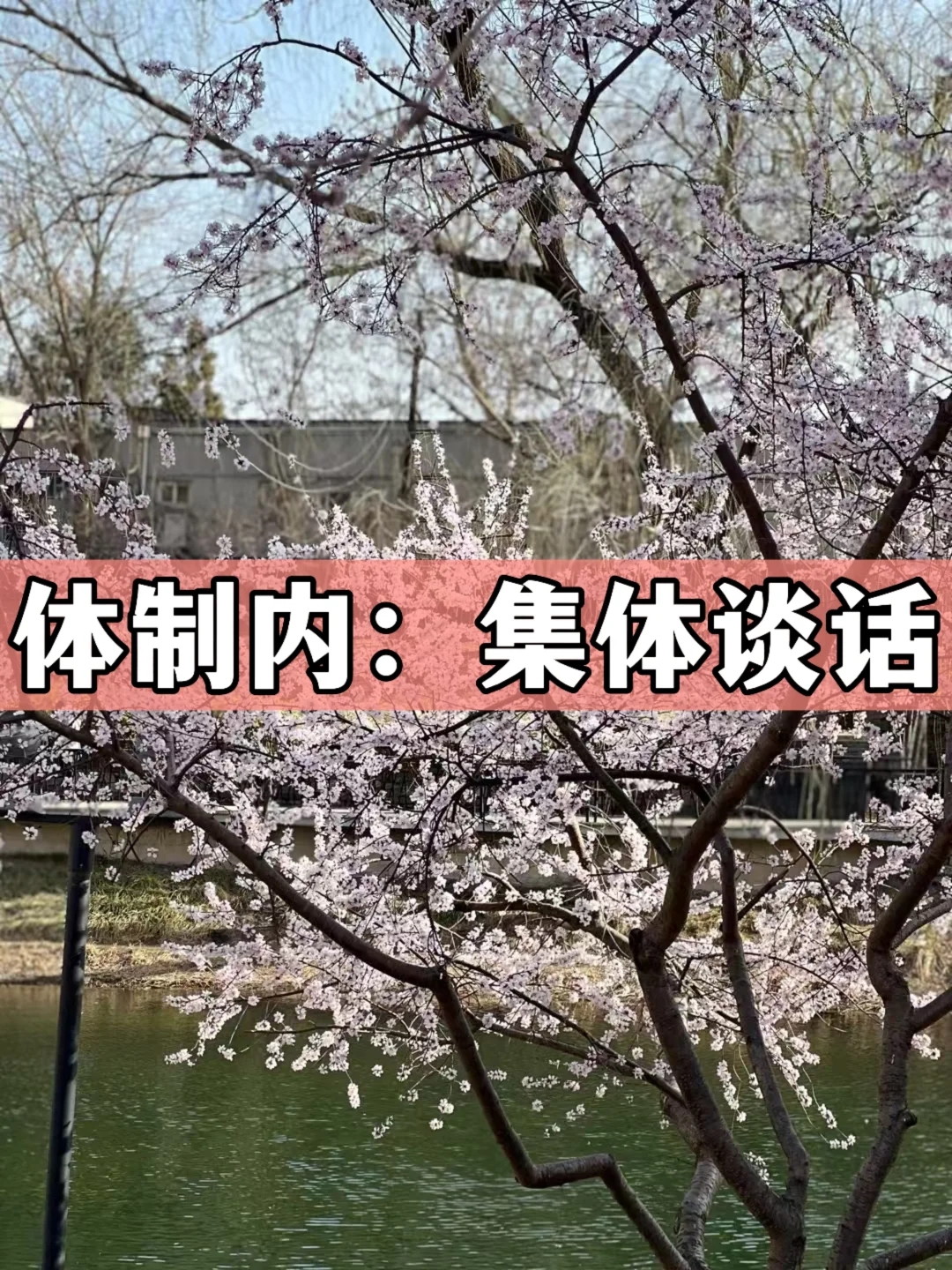 体制内：集体谈话