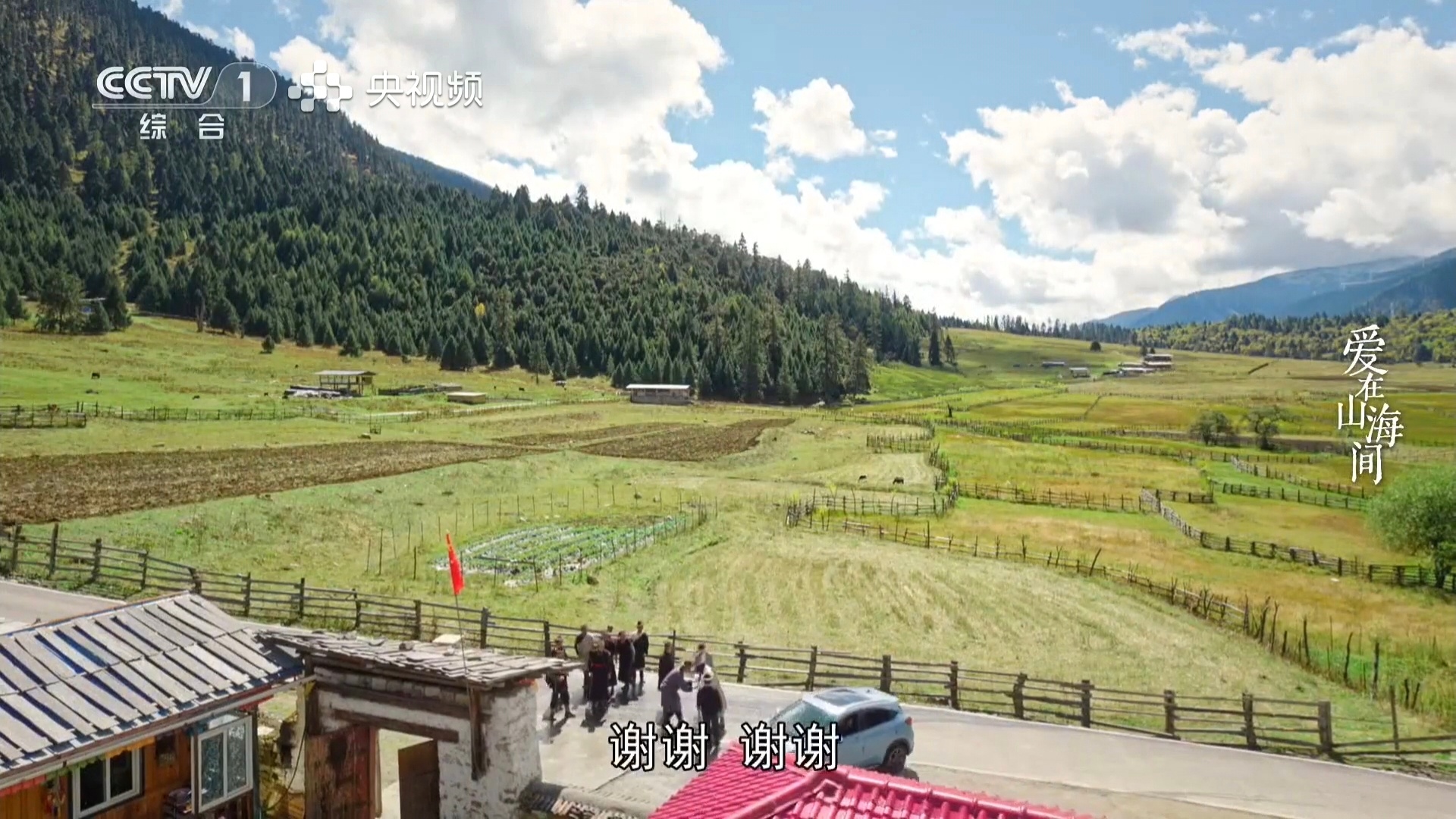 #电视剧爱在山海间[超话]#⛰️#张馨予体重新高也就112斤#zxy#张馨予高反坚持拍戏# 

苏可停职散心❌
苏可被林芝文旅顶号中✅

​