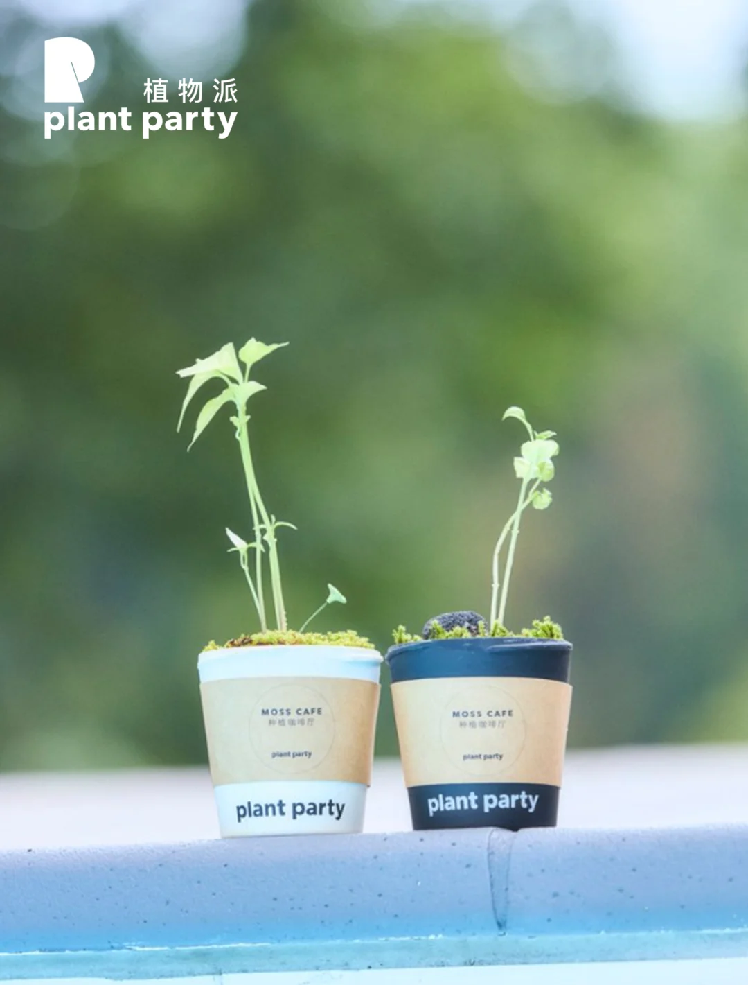 ☕ 我的咖啡杯会发芽｜植物派CHILL