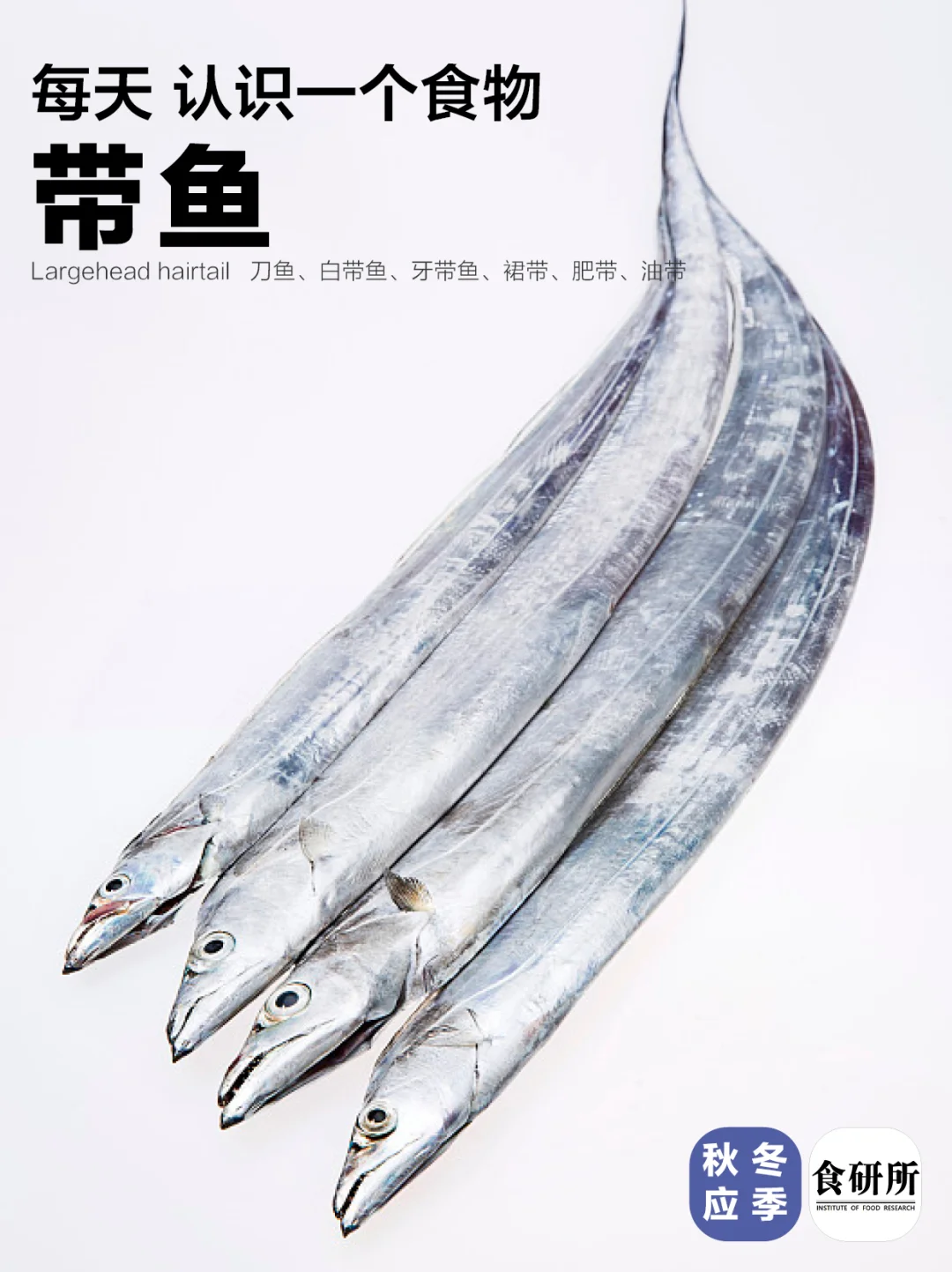 带鱼“黑眼和黄眼那个好吃？