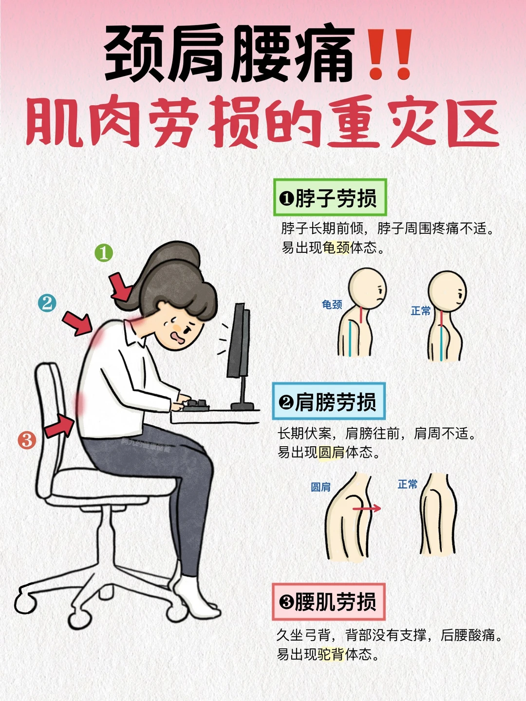 久坐太伤了‼️颈肩腰肌肉劳损自救办法