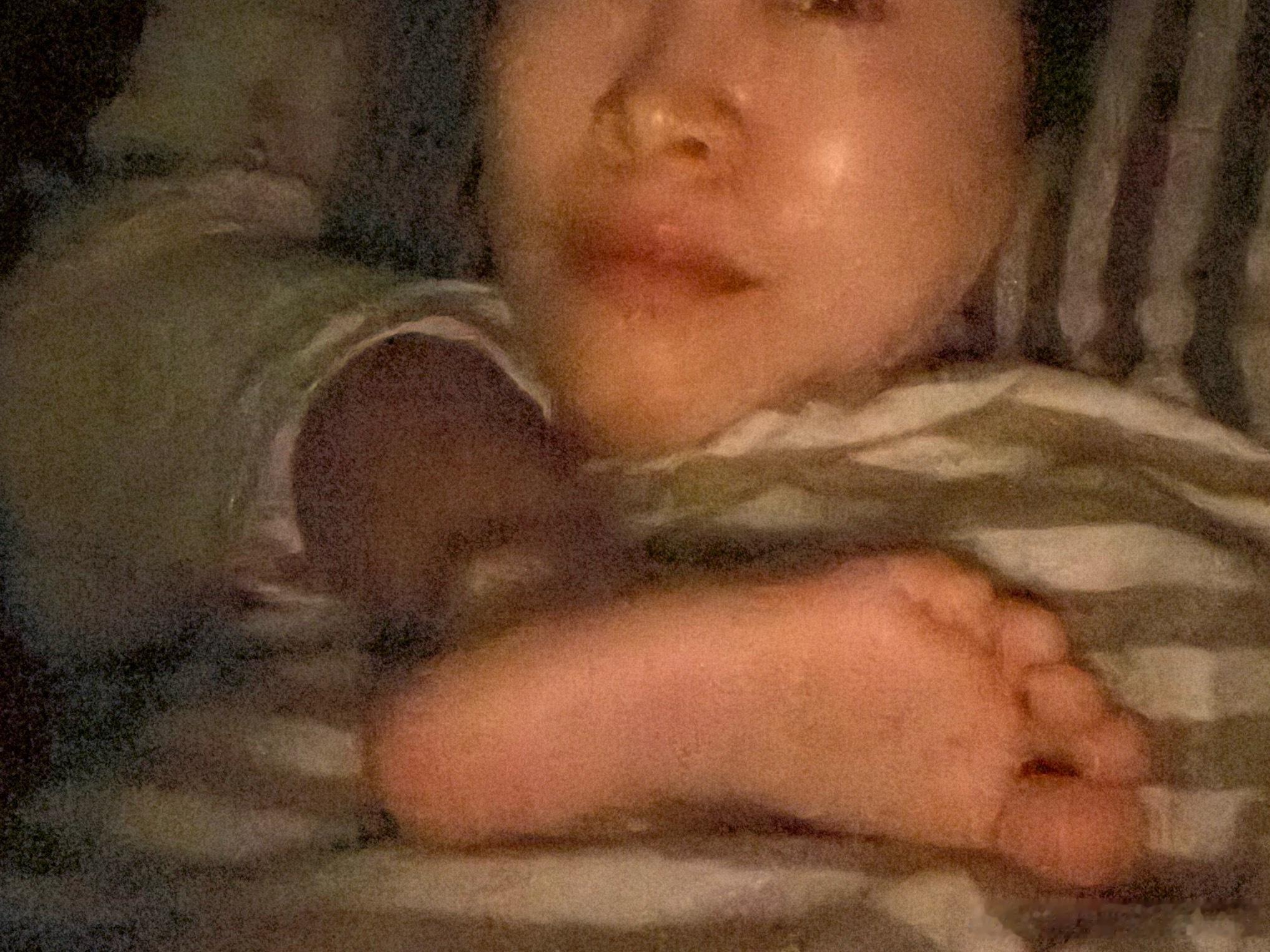 哈哈哈，猪蹄蹄又来了  ​​​