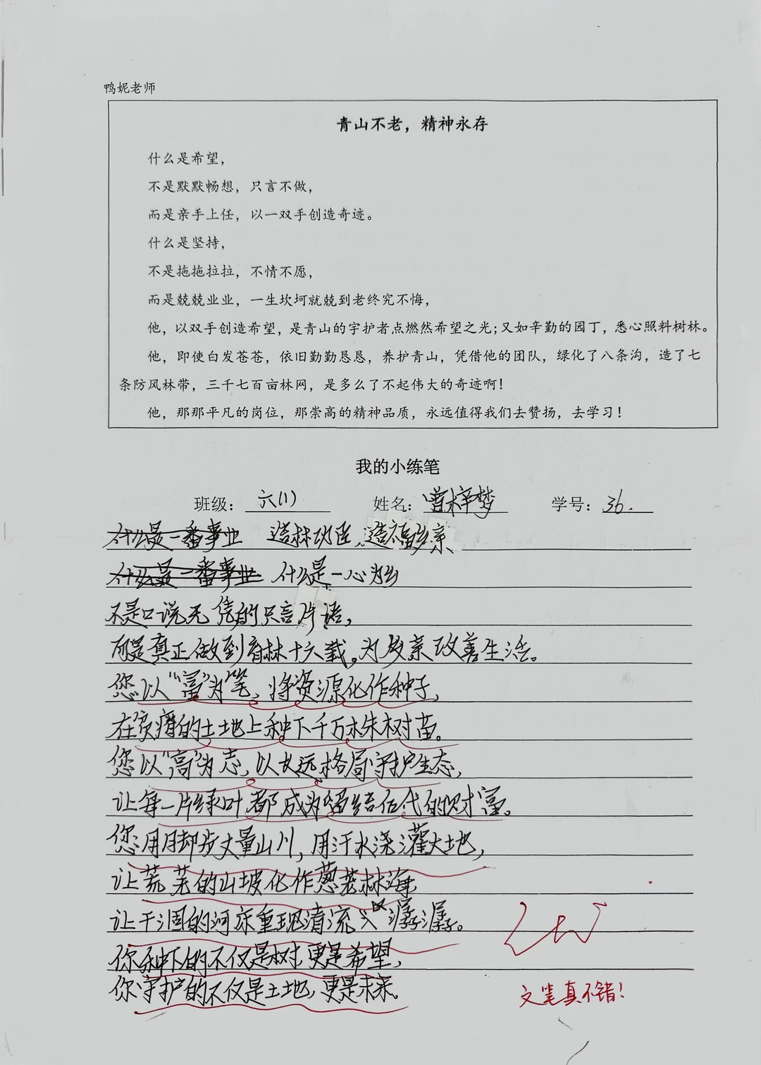 孩子们为“青山老人”写的颁奖词感人至深！