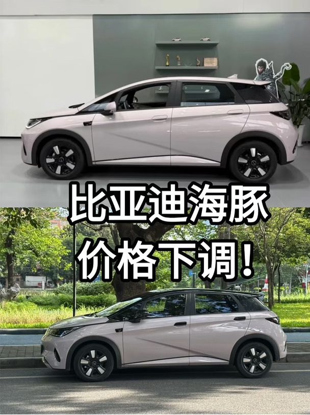 海豚价格下调确认 9月现车充足