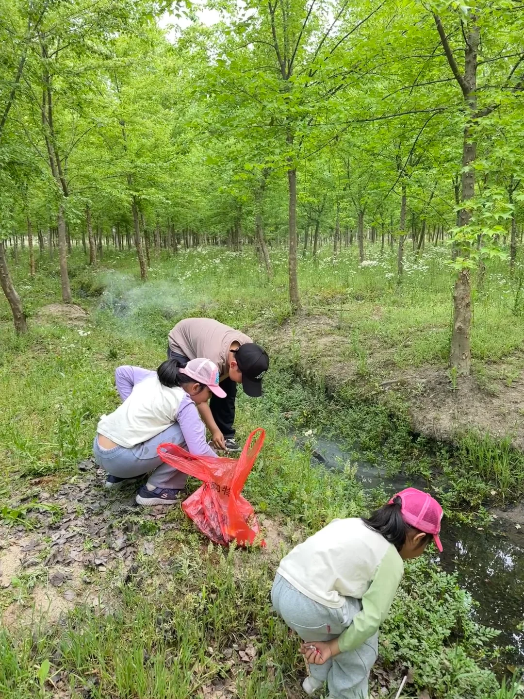 5.1上海溜娃，挖野菜，徒步，骑行，钓鱼