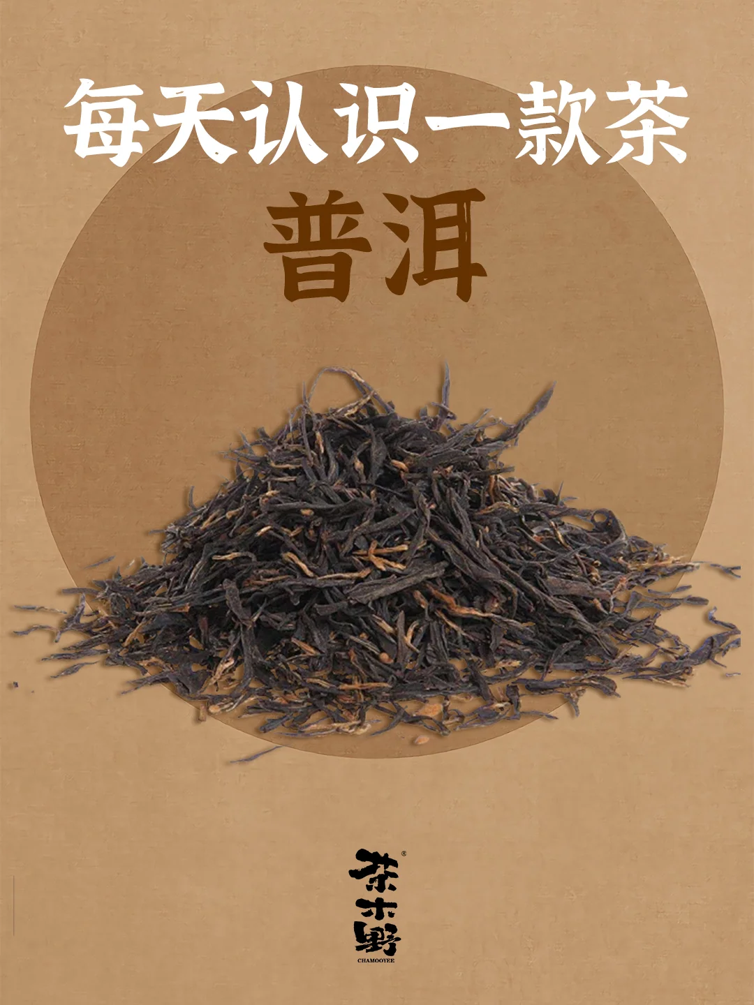 知识分享丨一分钟了解普洱