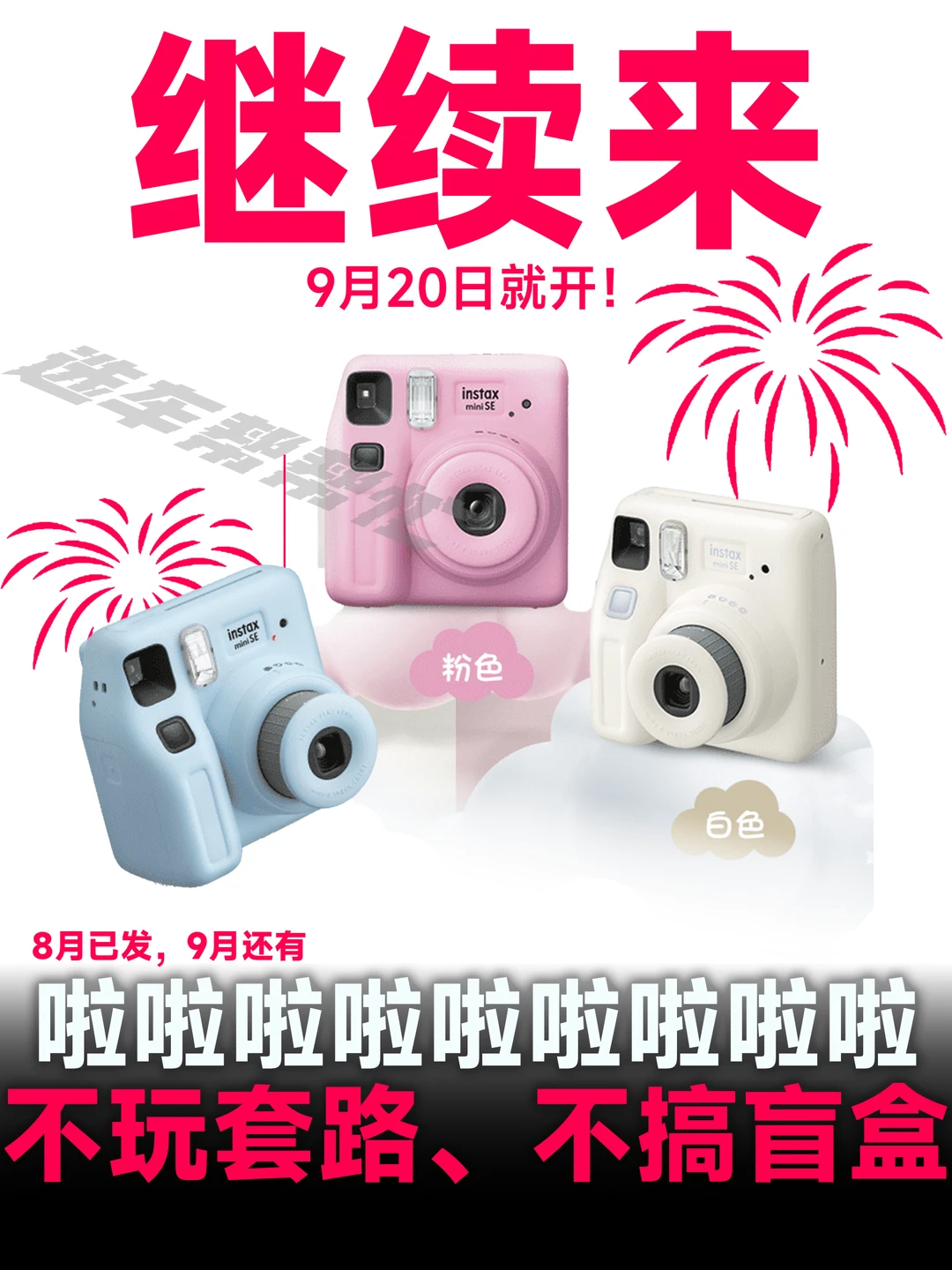 每月一宠｜来来❗️宝子这个月我们继续来❗️