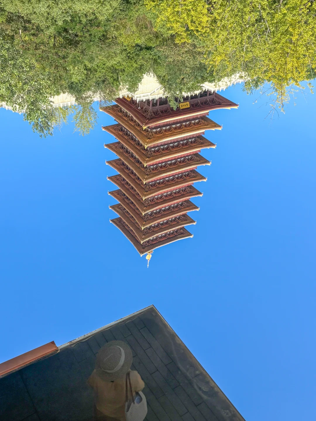 再说一遍，这里真的是南京赏秋天花板❗️