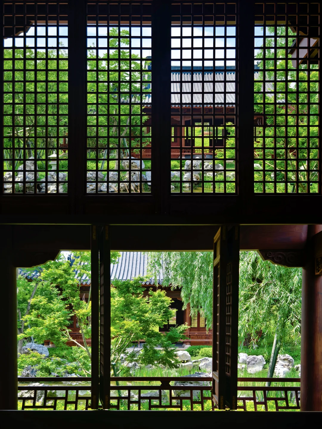 温州citywalk，如果只有半天建议去这里