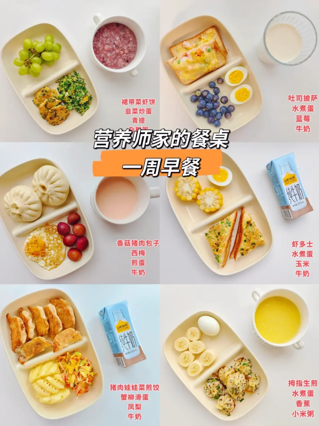 全职营养师妈妈做营养餐 出游 学习