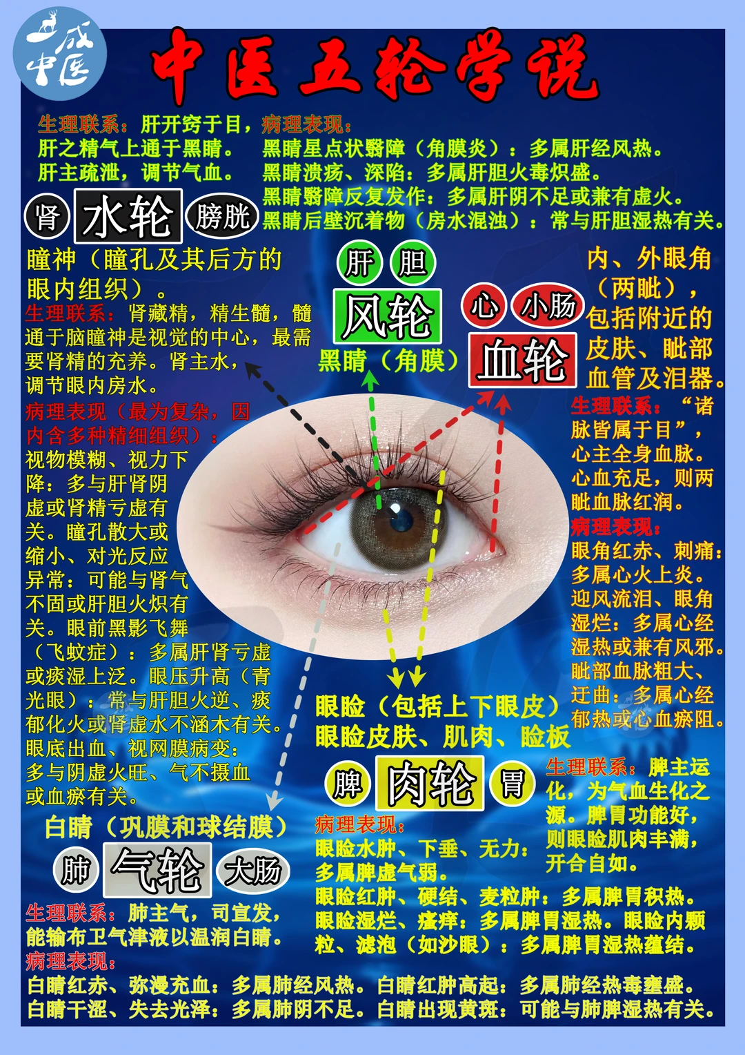 👀眼睛地图：五脏秘密一眼知