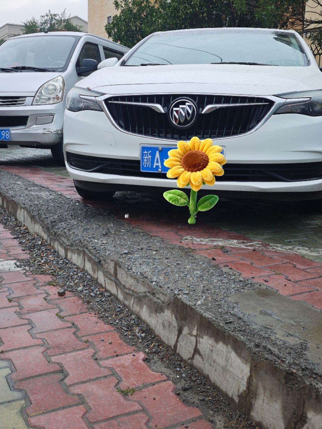 好好好，今天不顺，早上侧方停车，开上马路牙子了，今天第1次去菜市场买菜，没有看见前面的路，以为是平地了，右前轮都掉下去了，车底嘎嘎响，我又倒回来了[跪了][跪了][跪了] ​