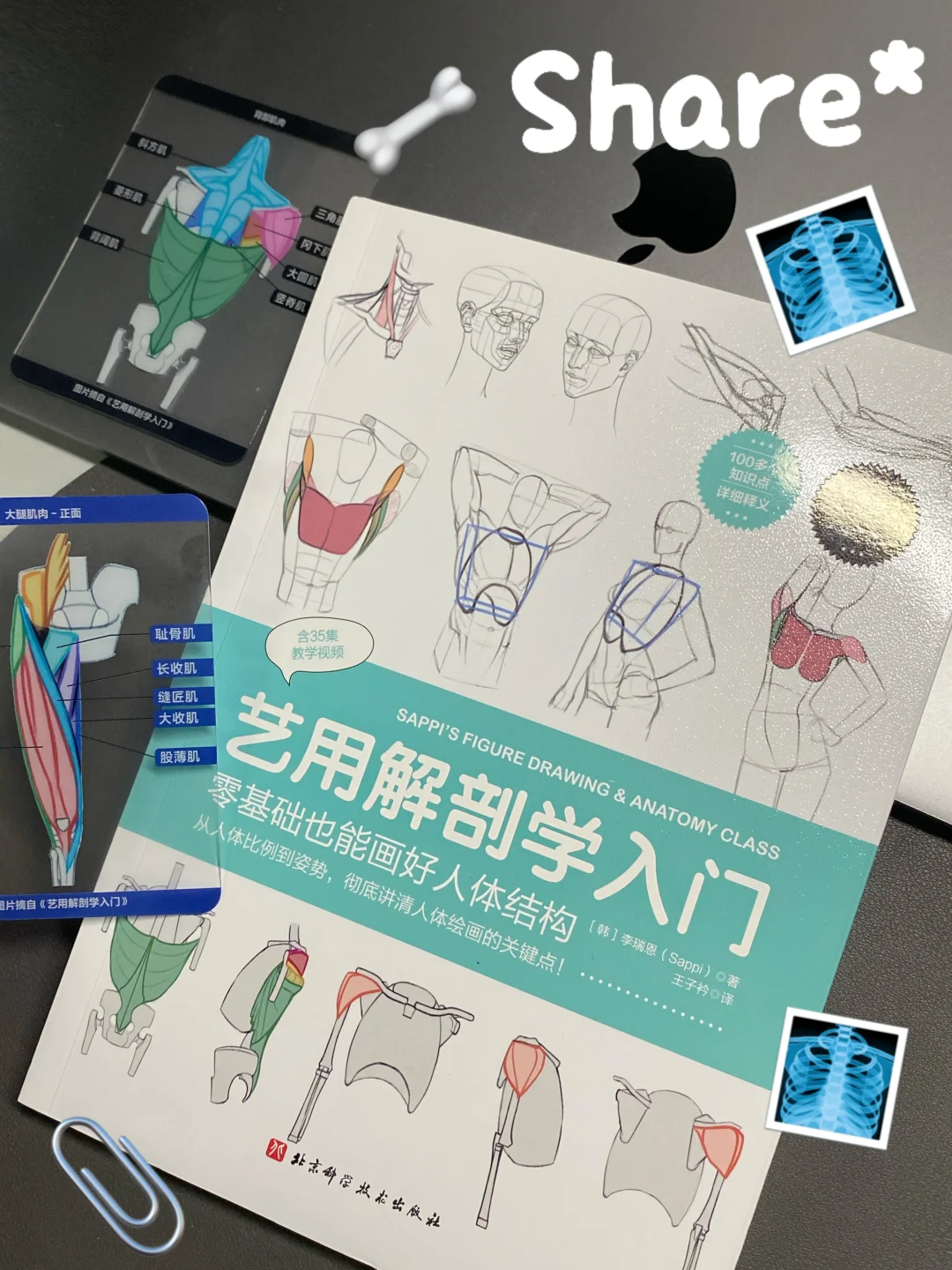 央美书单📘谁懂看见“艺用”解剖的救赎感🩻