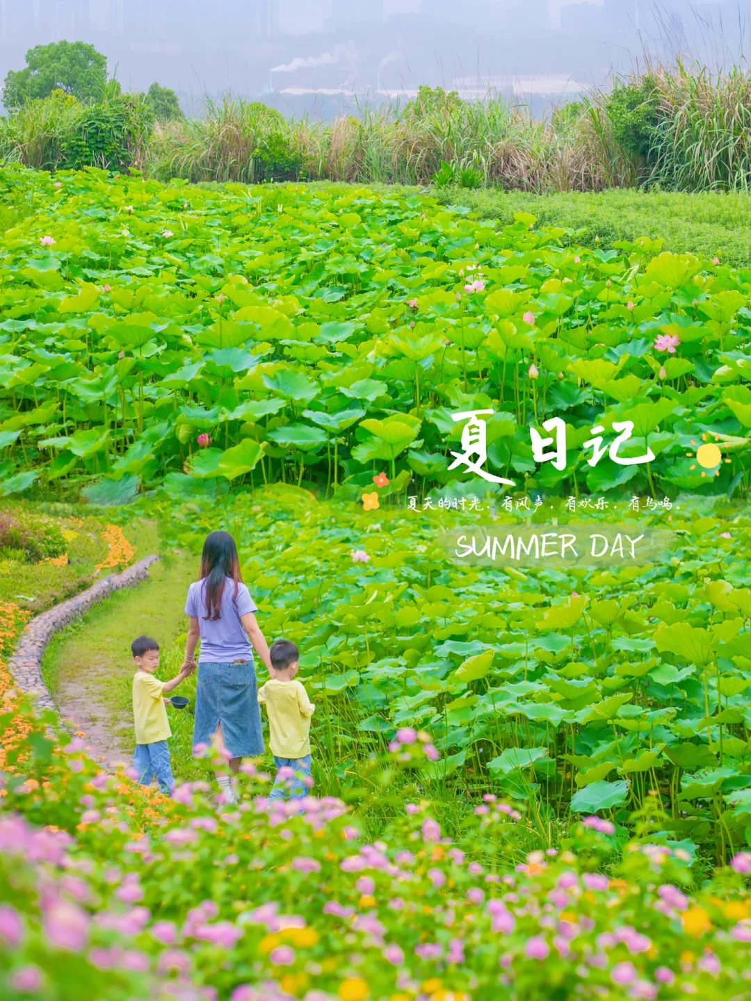 哇开满荷花的“金海湾”大草坪❗️来露营骑行吧