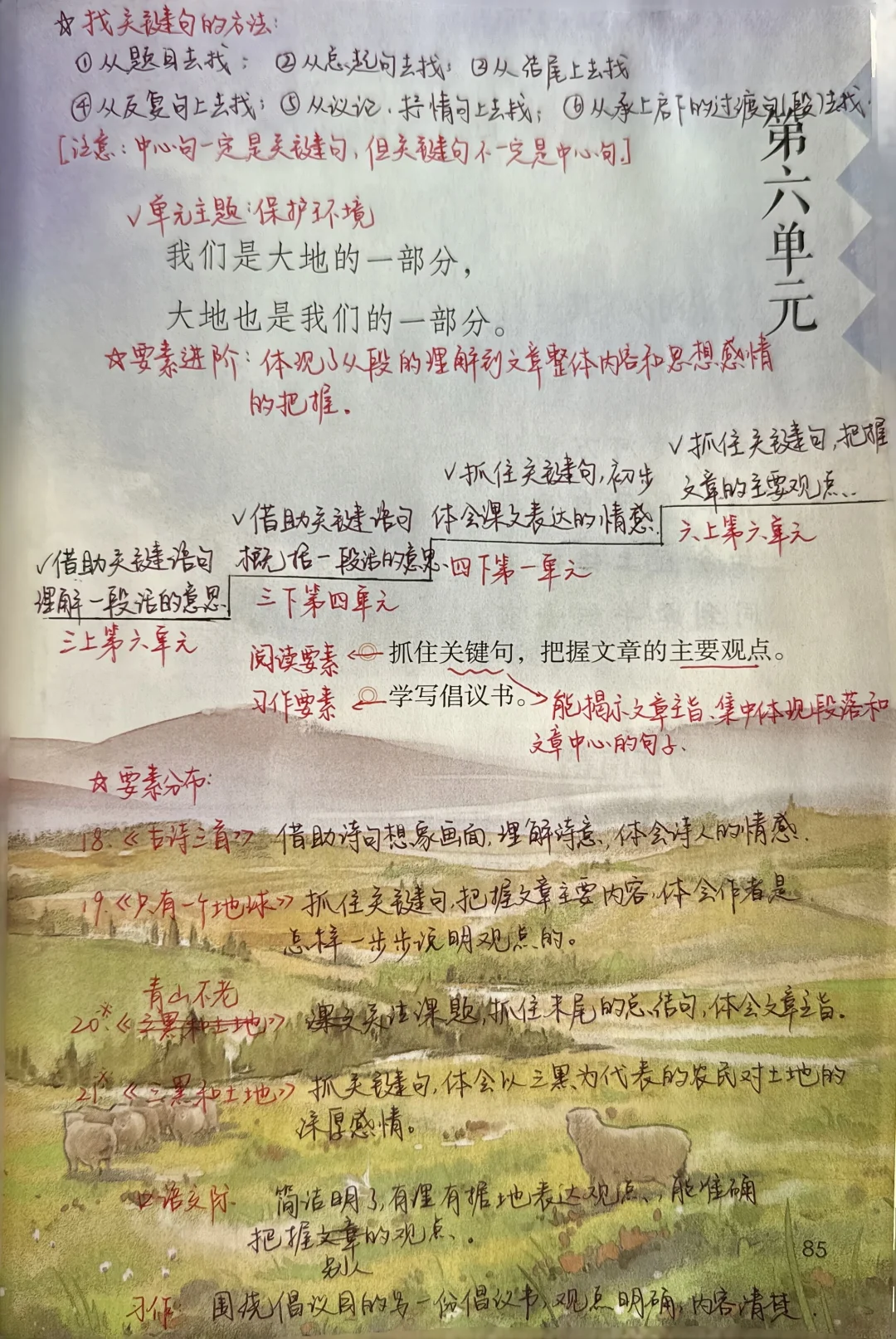 六上语文｜第六单元阅读要素解读与备课