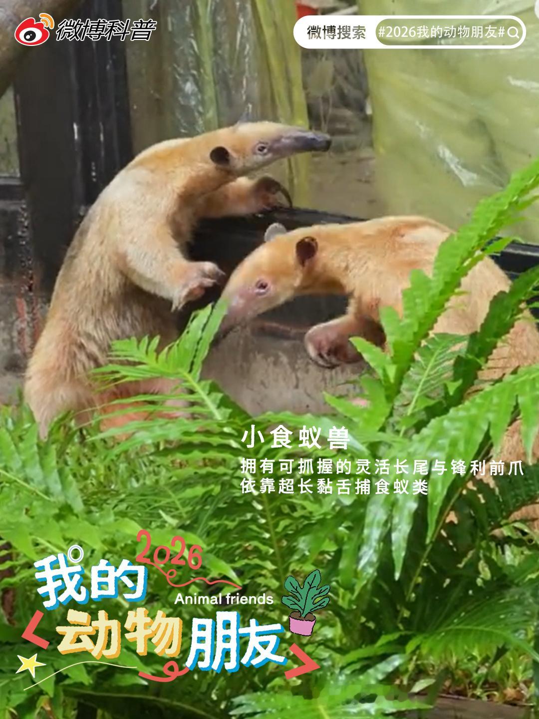 宝藏精选第六十三期 万物有灵，生灵相伴。本期精选6篇优质动物科普博文...