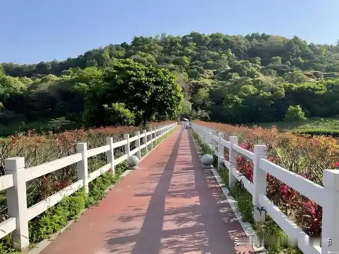 南沙区比临近的番禺慢很多，机会也少很多，跟花都区一样属于偏远地区，但...