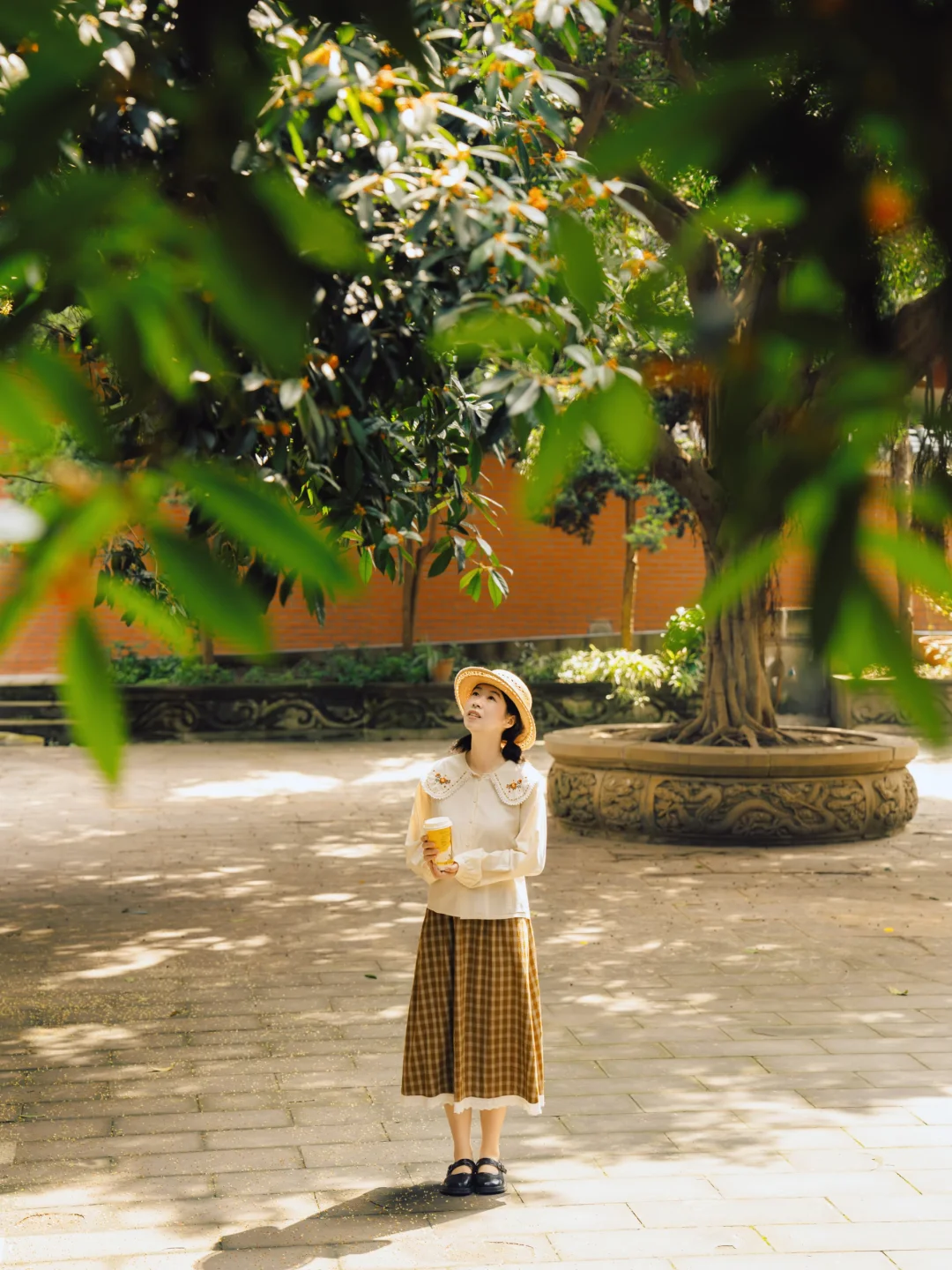 循着桂花香，一头扎进秋天里