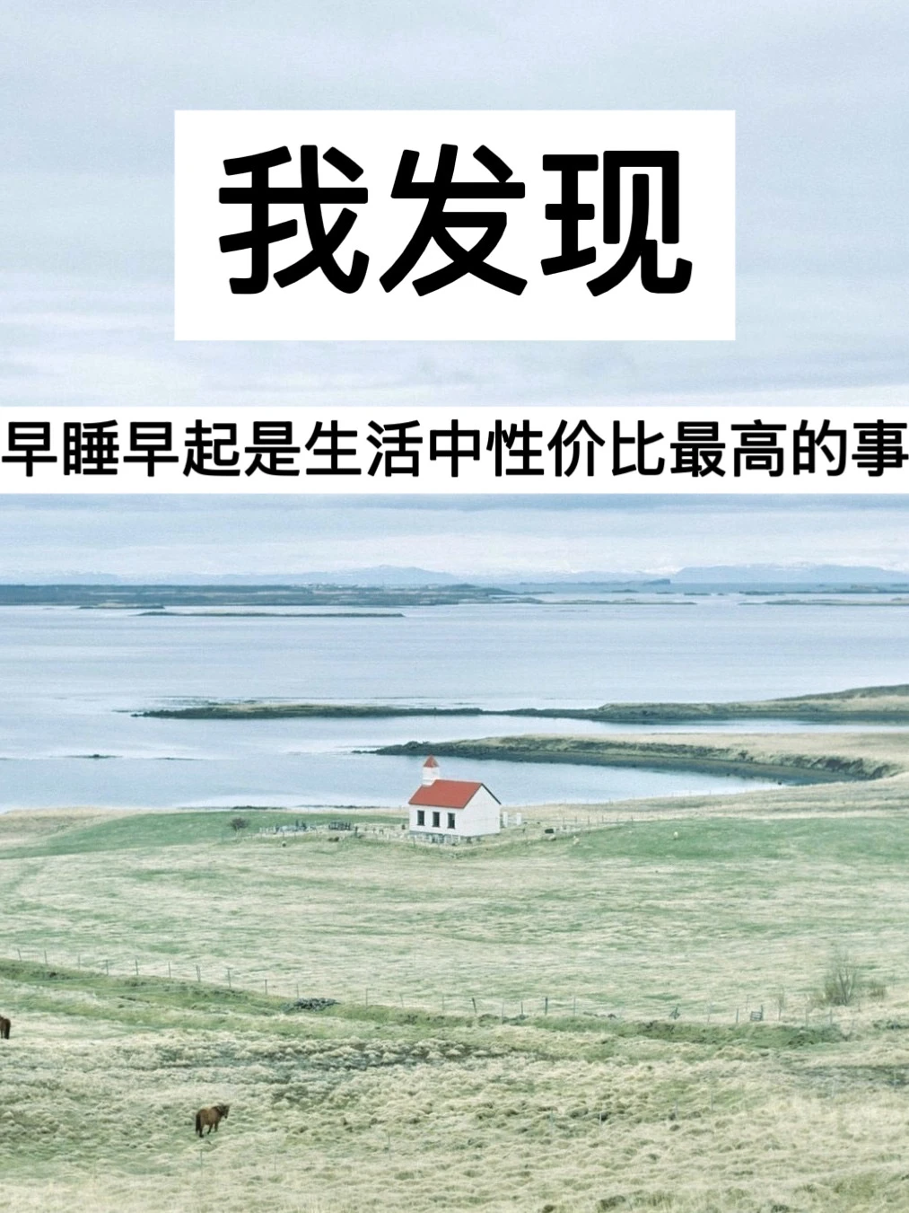 39岁，早睡早起是生活中性价比最高的事！