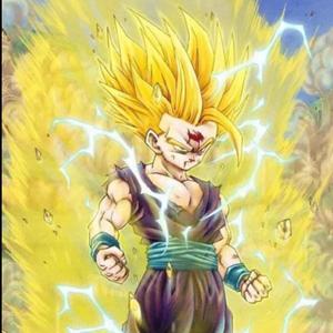 五五六六孙悟饭