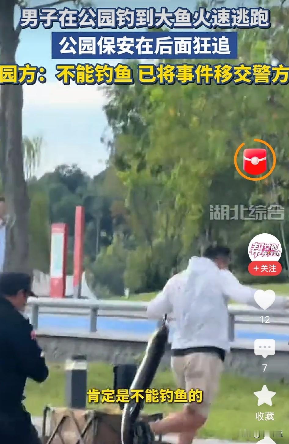 近日，四川成都某公园，一男子违规钓起大鱼后火速逃跑，保安在后方狂追。视频画面里，那条大鱼格外显眼，而“园方：不能钓鱼，已移交警方”的字幕更引人深思。

初看像“搞笑段子”，实则是规则与贪念的较量。公园景观湖属公共生态，明令禁钓，男子却图一时手瘾，钓起后还试图带走渔获。这“火速逃跑”跑掉的不是“运气”