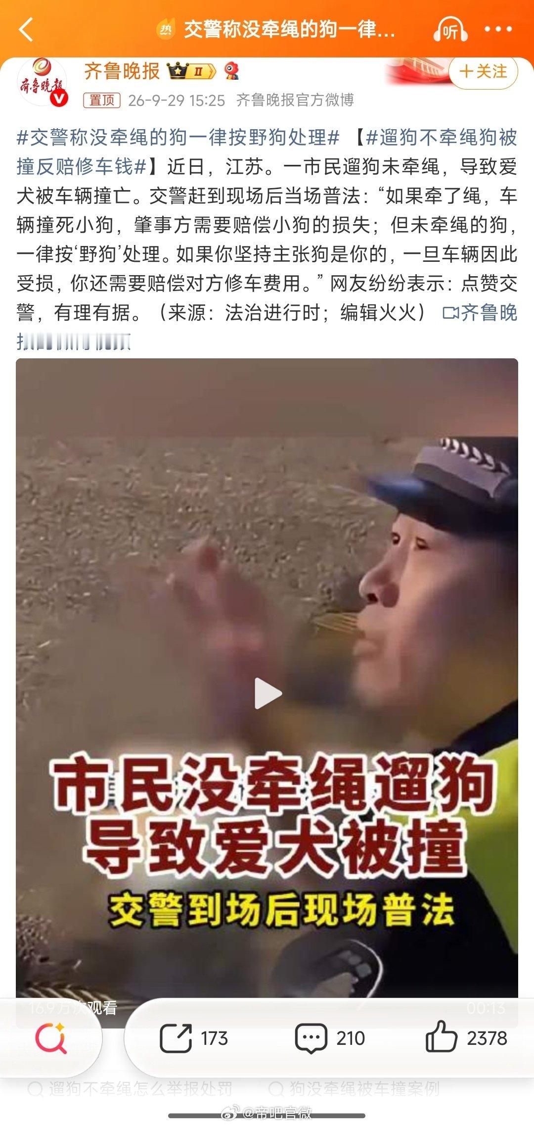 #交警称没牵绳的狗一律按野狗处理# 人民的好交警[good]
没栓绳的狗，本质上就是野狗，怎么会有人养野狗呢？ ​