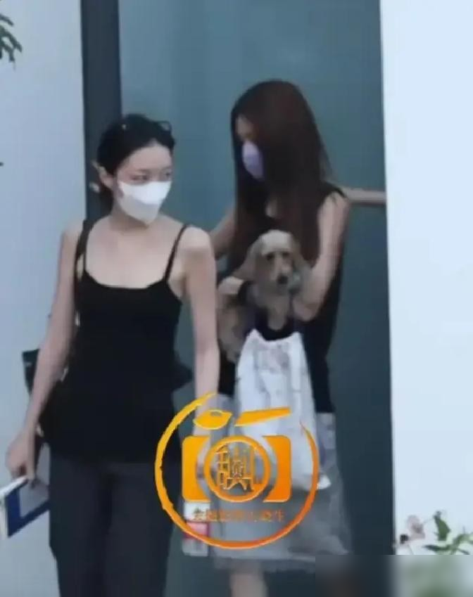 窦靖童、宋妍霏、李嫣，仨人在大理街头遛狗，被拍个正着。
李嫣都长这么大了，跟姐姐的闺蜜走一块，画面比王菲还松弛。
这俩从2023年拍《她的生存之道》认识，机场同框、雨夜撑伞、牵手遛狗回同一个家，三十多件同款，连磨损位置都对得上。外界炸了好几轮，俩人愣是一个字没回。
不承认，不否认，不炒作。