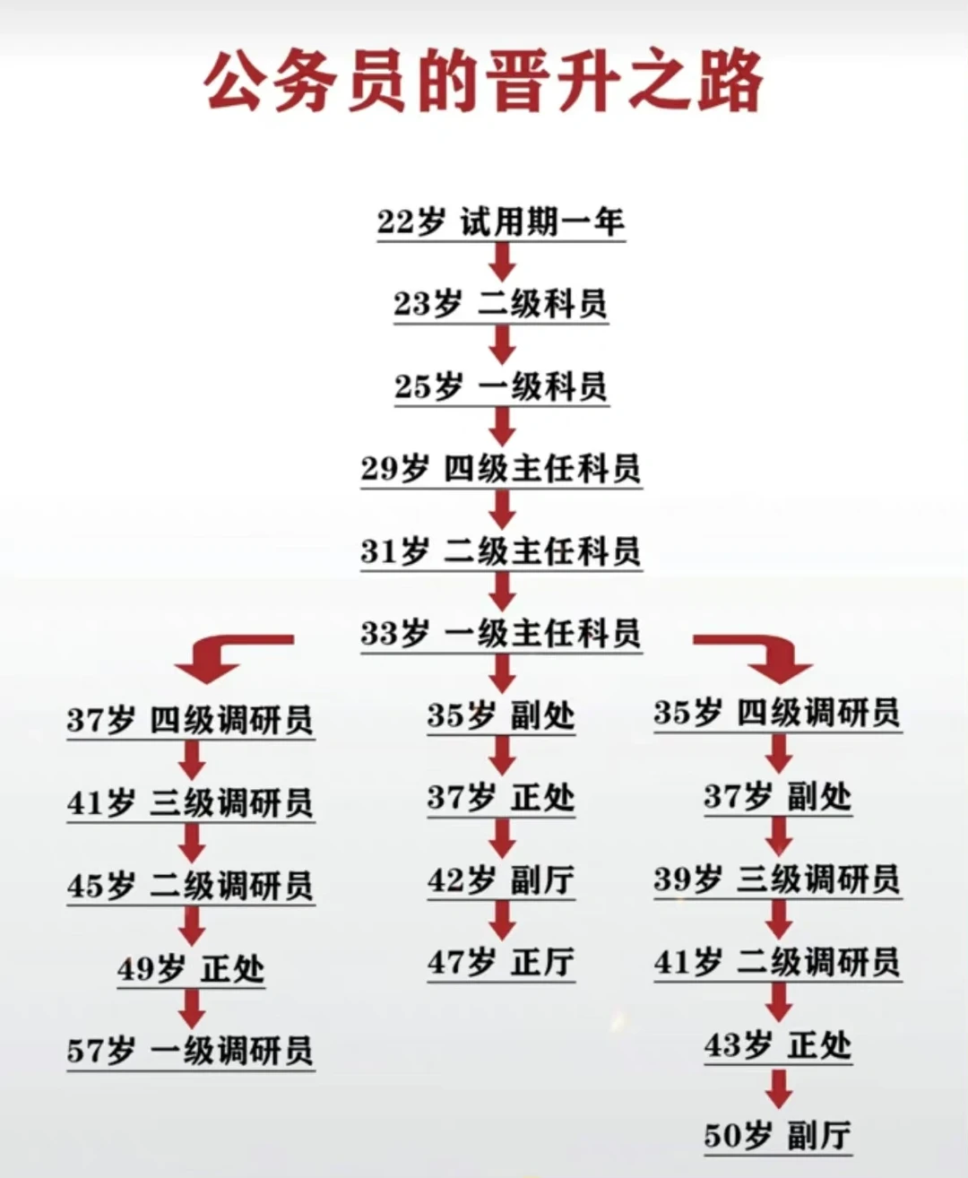 各位局长公务员的晋升之路‼️