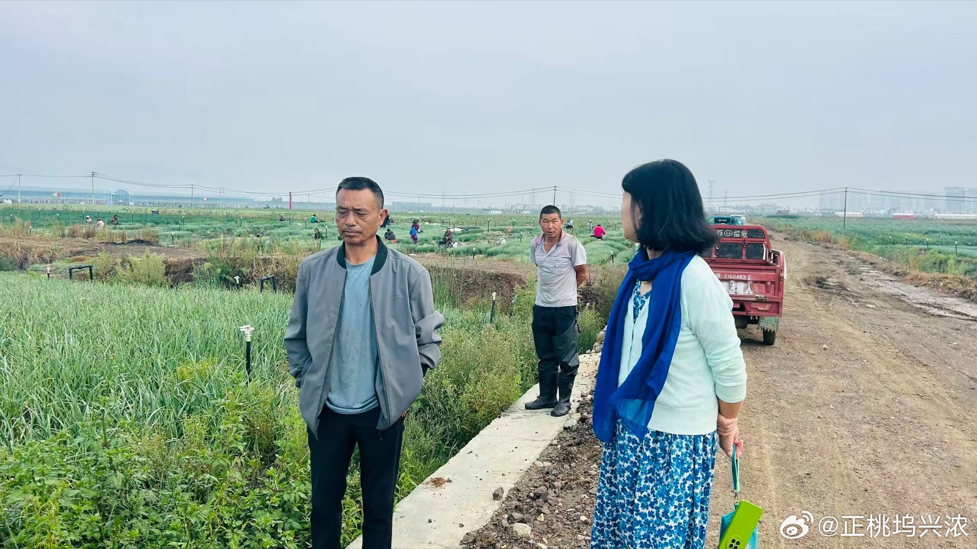 在葱地，老板介绍了以下情况：
1. 土地流转：一年租金 3000 元/亩，租了 100 亩。
2. 种植情况：现在全部都种的是葱，45~60 天就可以成熟。
3. 销售去向：葱可以运往重庆和上海。
4. 用工成本：给小工整理葱子的工钱是 1 元/斤。

他说这是第二年，今年亏了 80 万。但是我算了一下，不知道从何而亏。问 ​