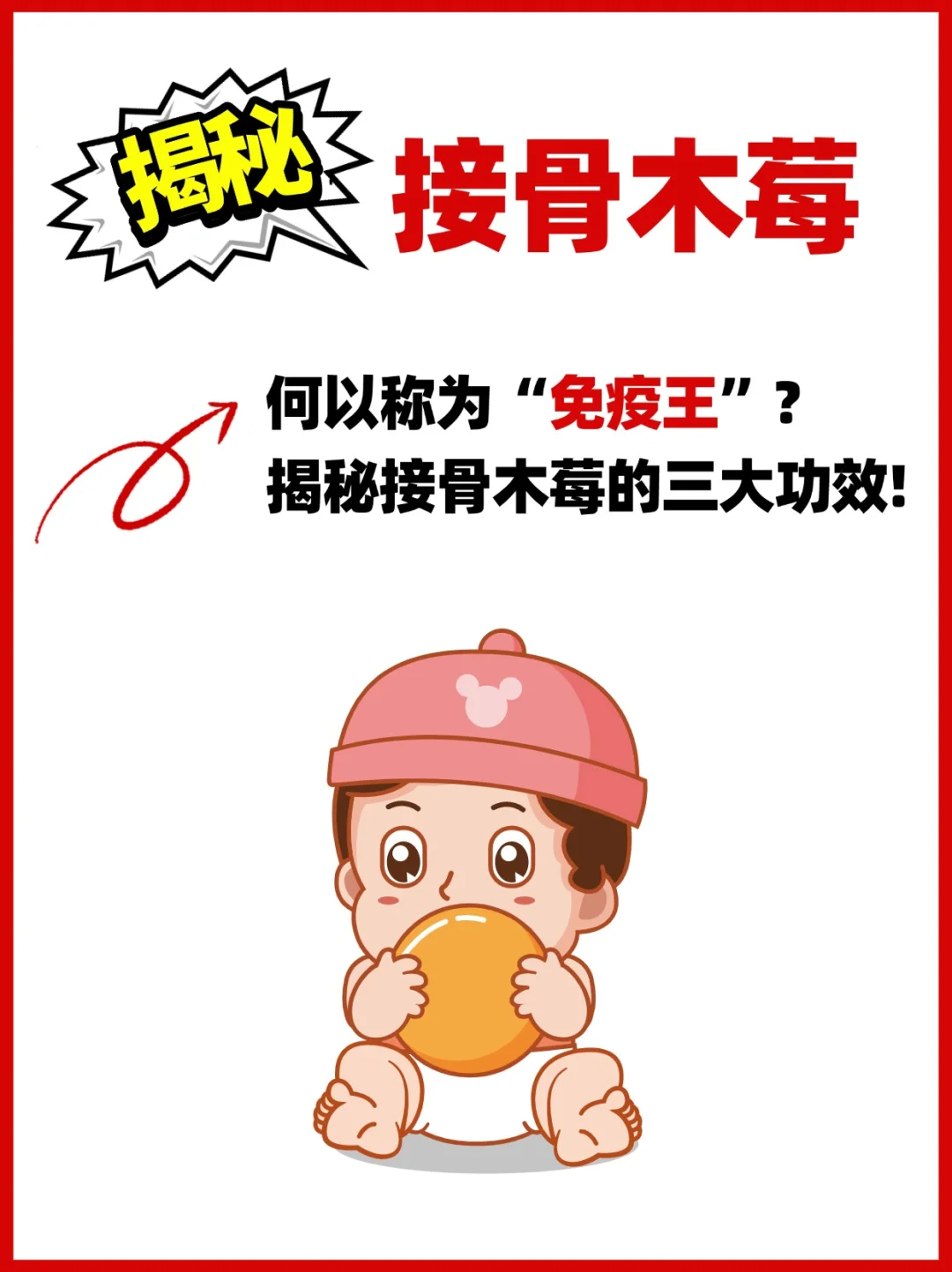 揭秘接骨木莓，何以称为“免疫王”💥