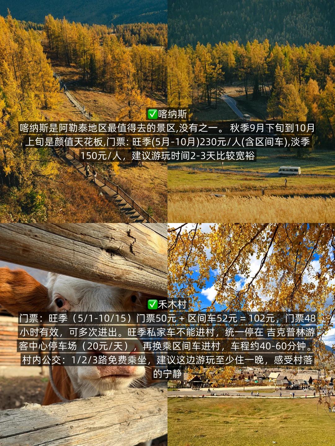 9-12月第一次来阿勒泰我建议你先看这篇…😅