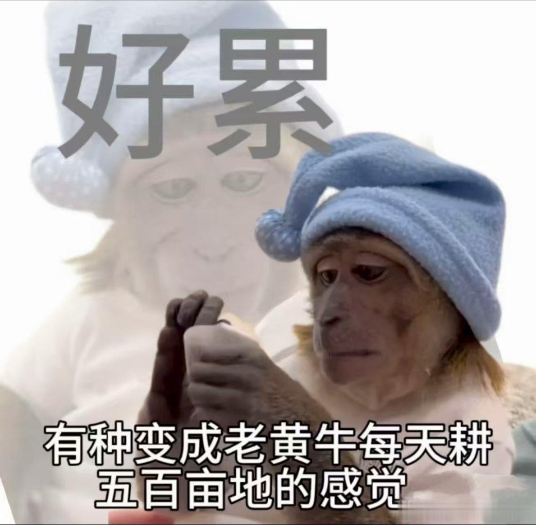 #骚扰来电不接和挂断区别很大# 

这难道不是运营商该关心的问题吗？[允悲][允悲][允悲] ​