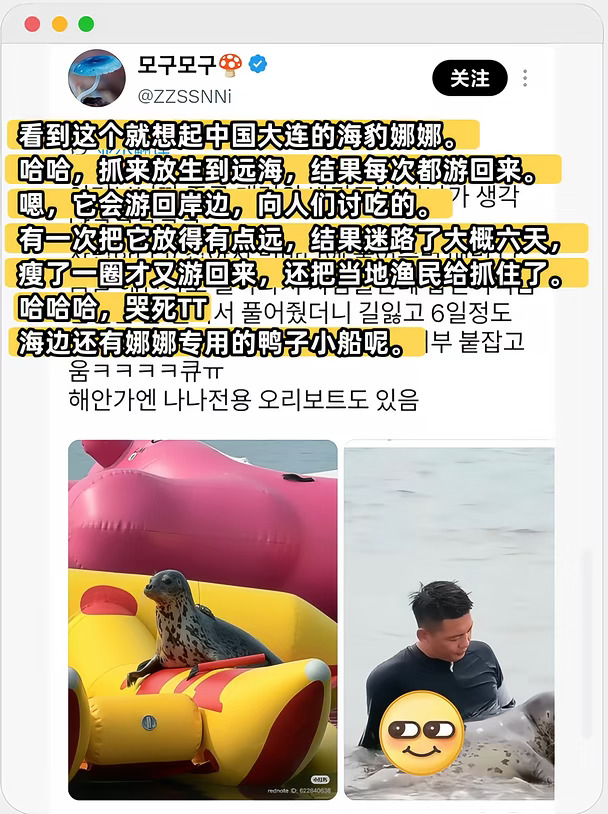 海豹娜娜的权威在韩网得到验证