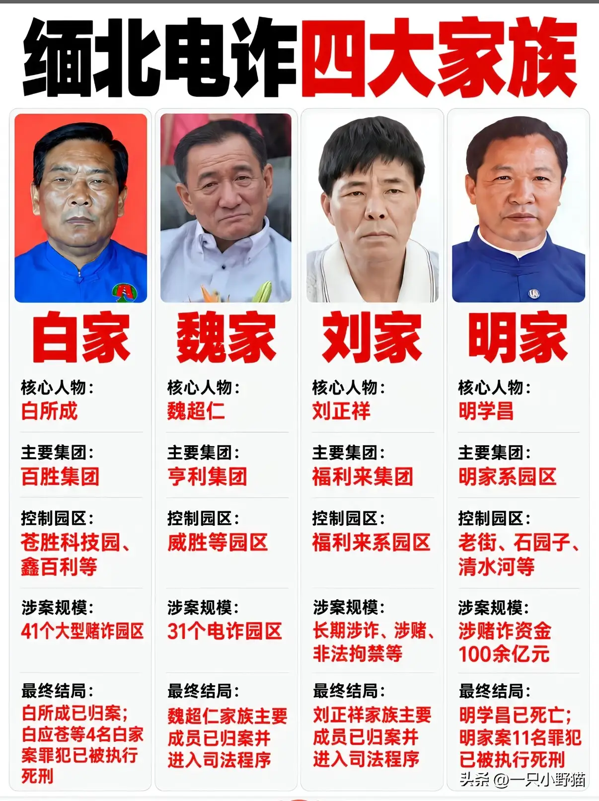 10月13日，福建省泉州市中级人民法院、南安市人民法院一审公开宣判缅北魏家犯罪集团系列案件。魏怀仁、陈大卫、廖景芳3名被告人被判处死刑，另有3人获无期徒刑，剩余55名被告人分别被判处不同期限有期徒刑。
 
至此，缅北臭名昭著的“四大家族”中，明家、白家、魏家三大电诈犯罪集团，都已先后由我国司法机关依