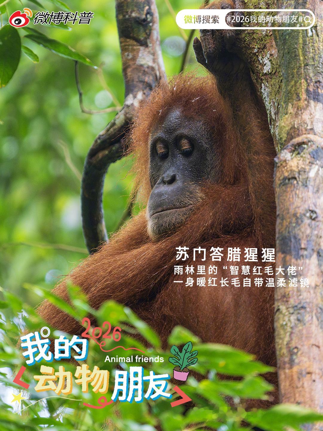 宝藏精选第五十一期自然处处有惊喜，生灵时时显可爱！本期汇聚来自动物园...