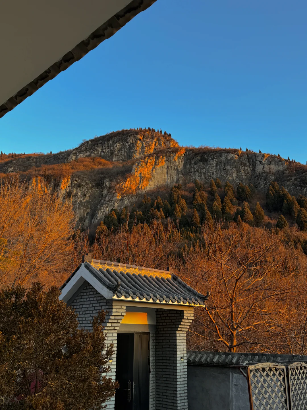 中医世家：2026女子静养💐起居/情志/穿衣～