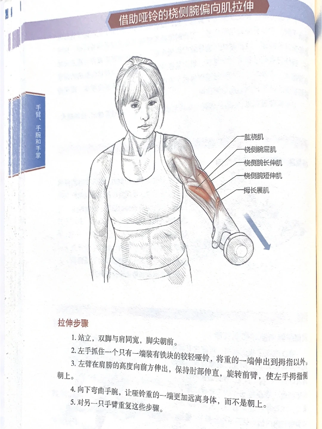手臂肌肉拉伸/缓解疼痛损伤/拉伸运动训练