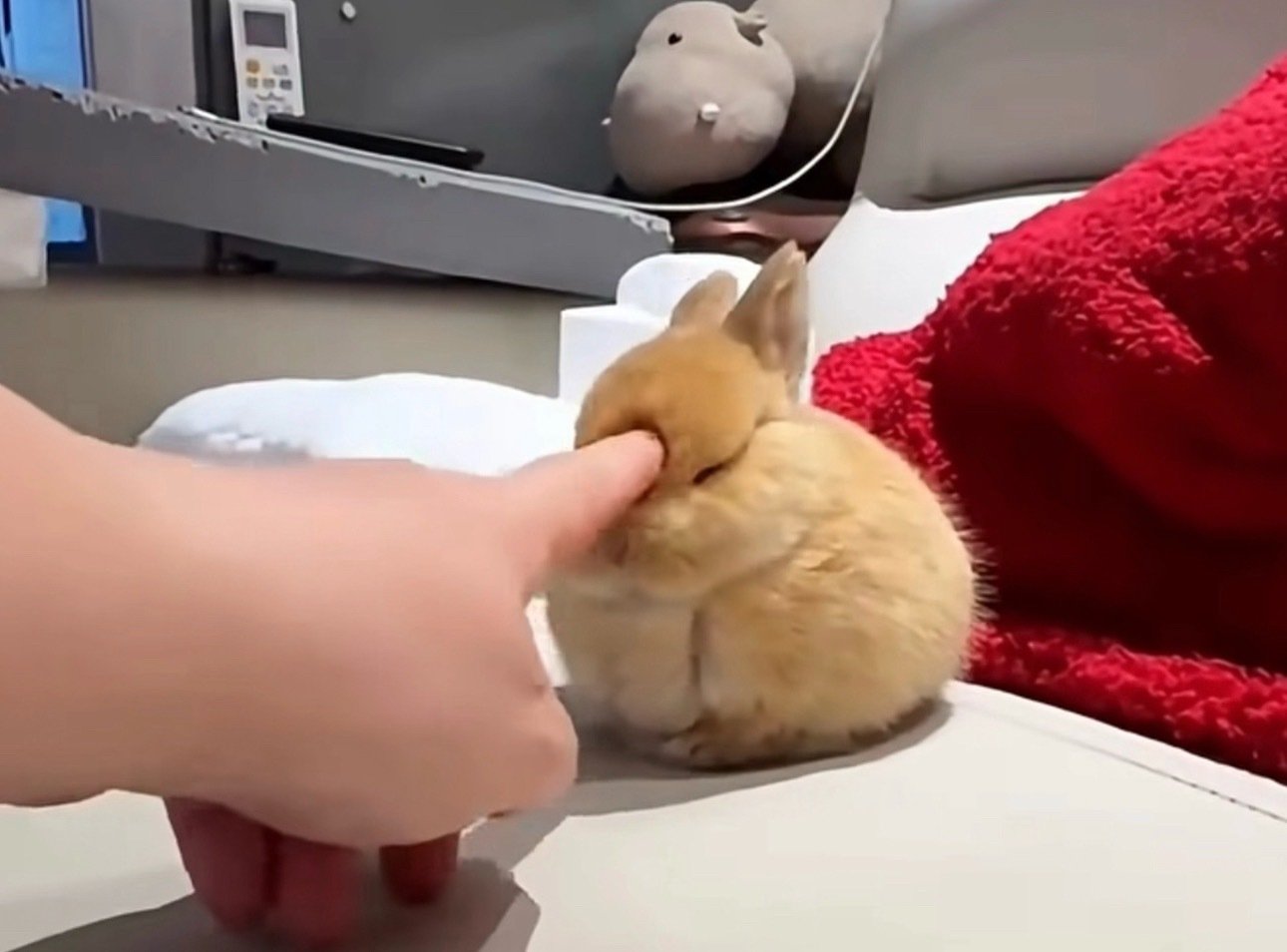 我对汪顺 ​