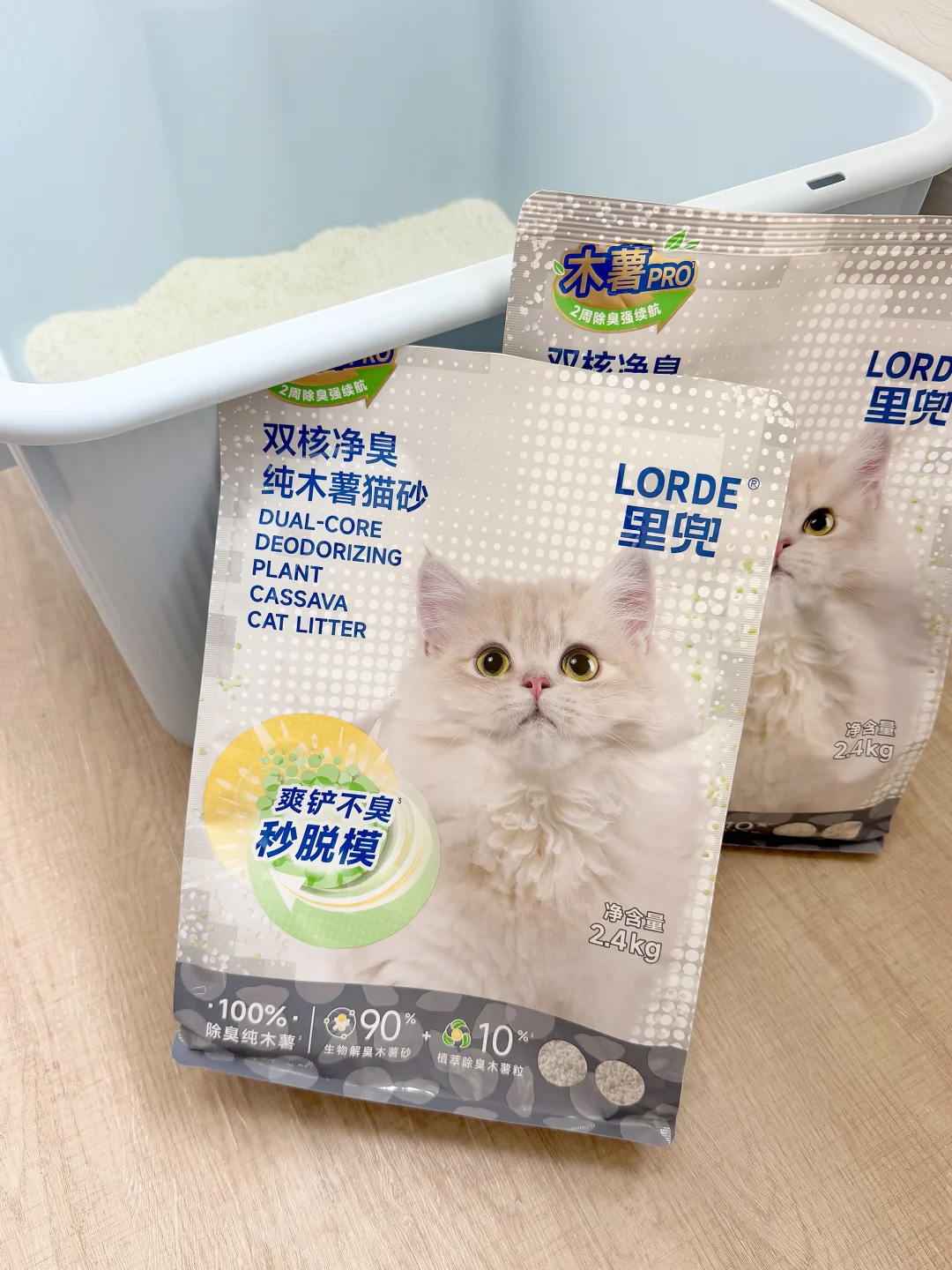 接幼猫到家的第一款猫砂推荐！