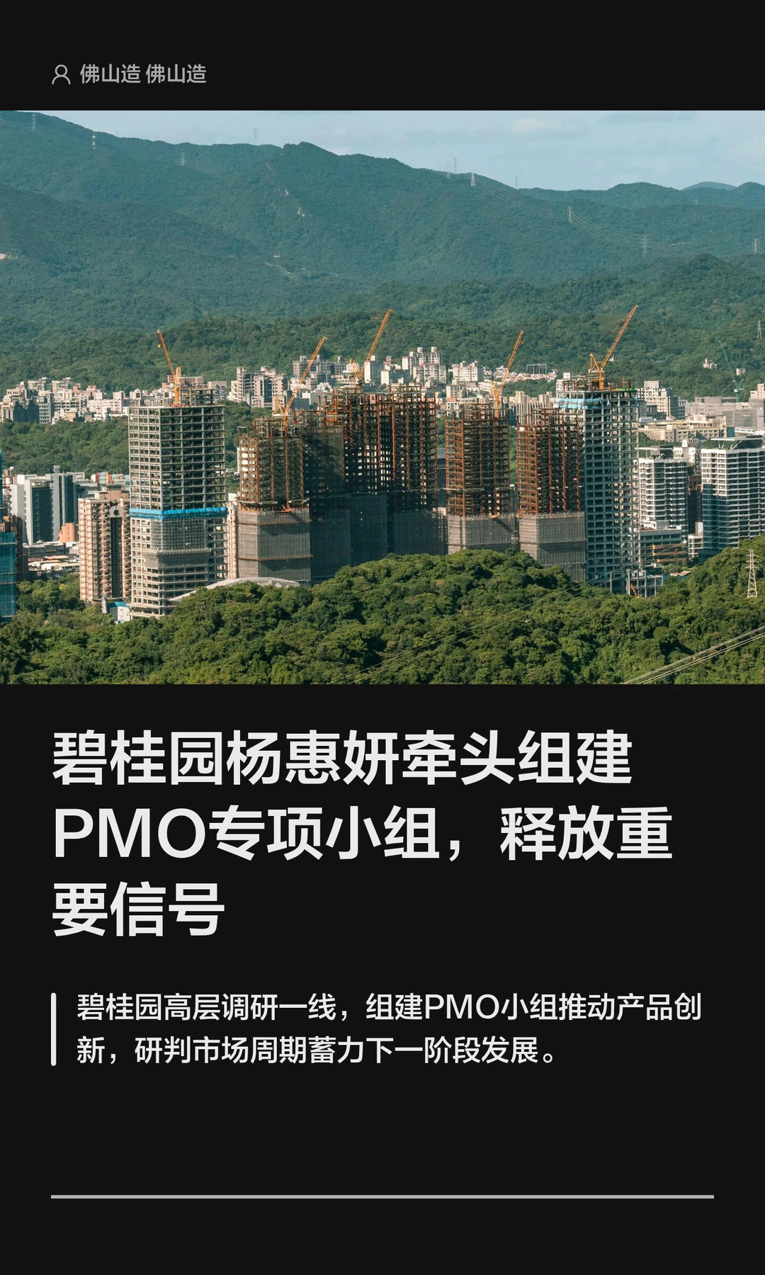 碧桂园杨惠妍牵头组建PMO专项小组