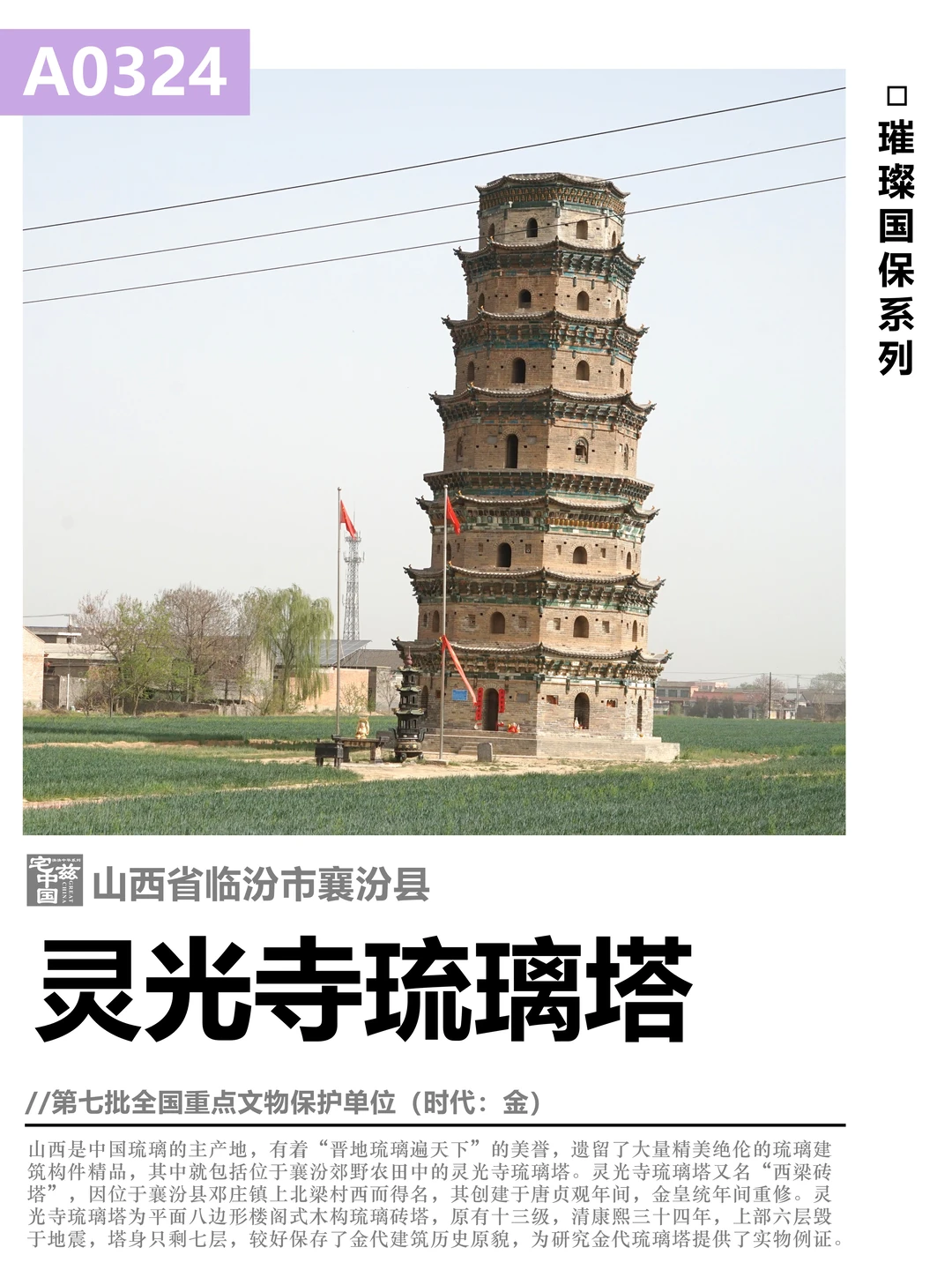 A0324灵光寺琉璃塔，玉米田里的金代琉璃塔