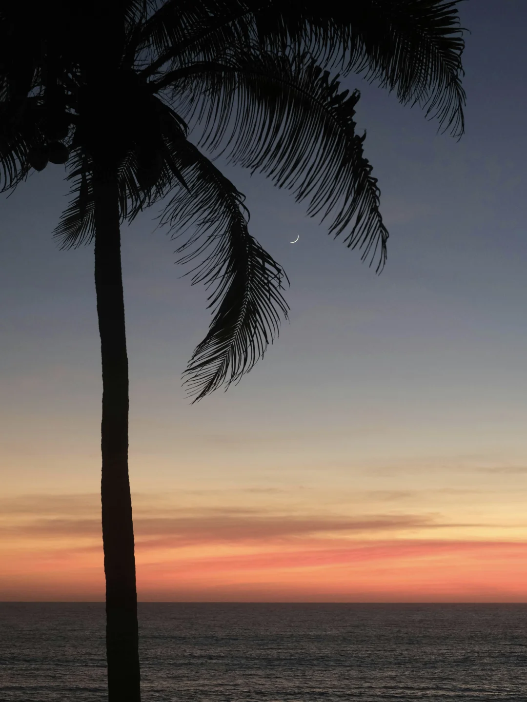 交换一张你相册里的晚霞