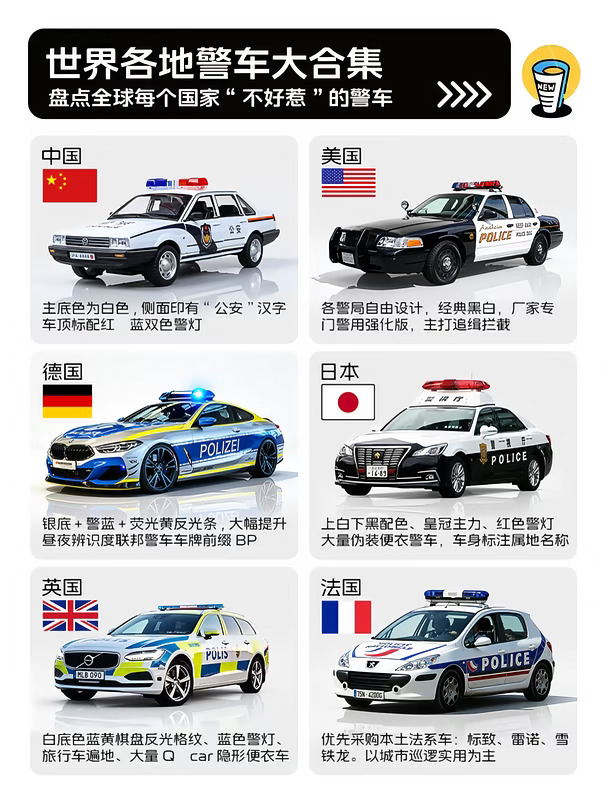 到全球旅行都能用的上的“警车图鉴”