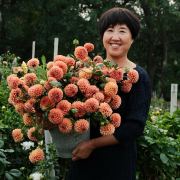 荻花涟漪