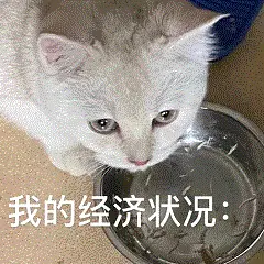 啃老会增加家庭不必要的经济负担